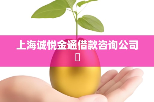 上海诚悦金通借款咨询公司​