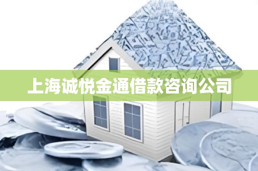 上海诚悦金通借款咨询公司