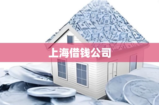 上海借钱公司 上海借钱公司