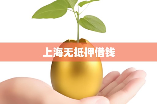 上海无抵押借钱