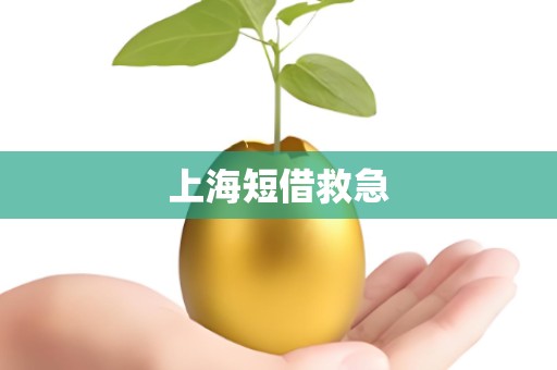 上海短借救急 上海短借救急