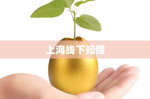 上海线下短借