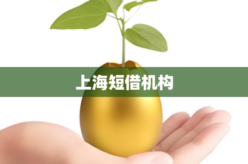 上海短借机构
