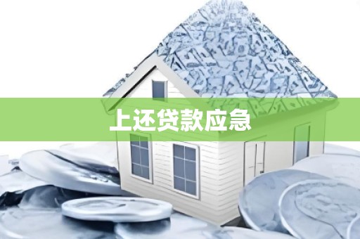 上还贷款应急
