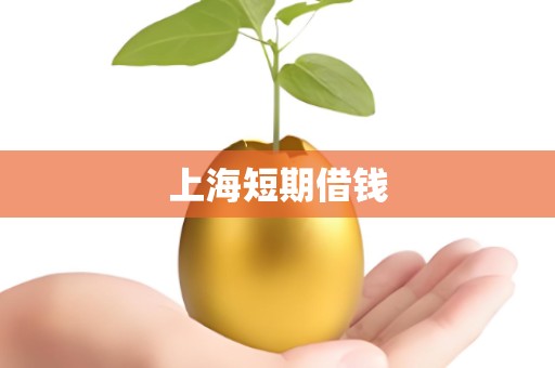 上海短期借钱