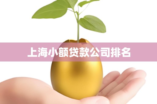 上海小额贷款公司排名