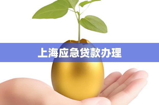 上海应急贷款办理 上海应急贷款办理