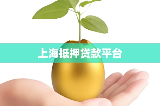 上海抵押贷款平台 上海抵押贷款平台