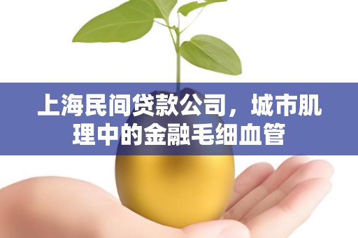 上海民间贷款公司,城市肌理中的金融毛细血管 上海民间贷款公司,城市肌理中的金融毛细血管