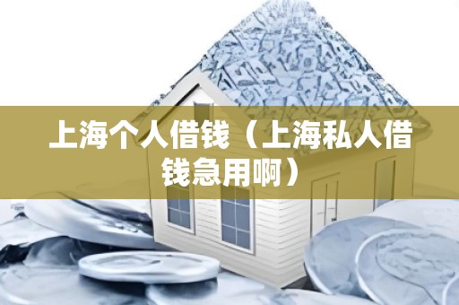 上海个人借钱（上海私人借钱急用啊）