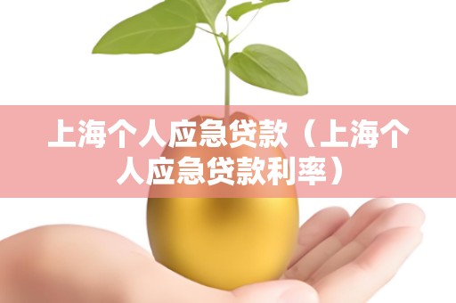 上海个人应急贷款（上海个人应急贷款利率）