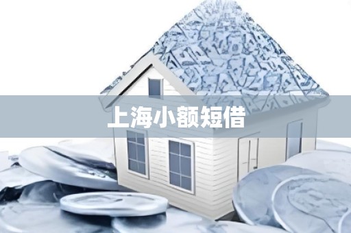 上海小额短借