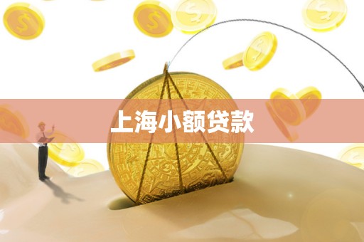 上海小额贷款 上海小额贷款
